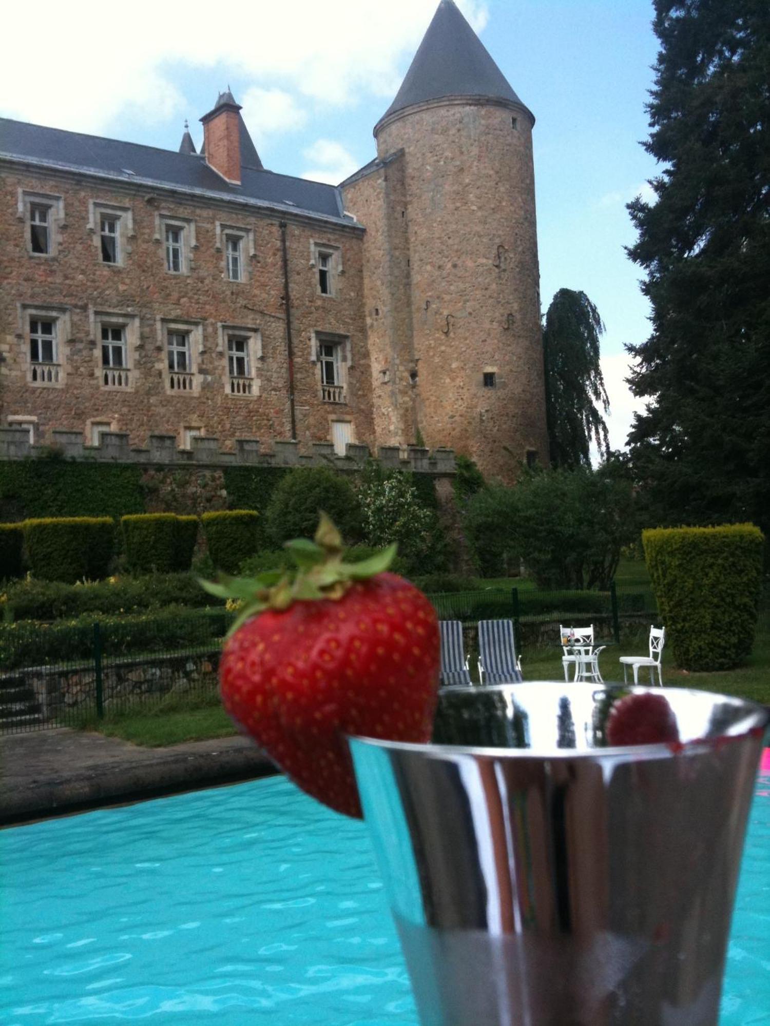 Chateau De Busset エクステリア 写真